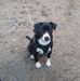 Christal Barrett - Facebook