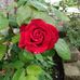 Crystal Beausejour - Facebook