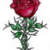 Crystal Beausejour - Facebook