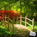 Crystal Beckman - Facebook