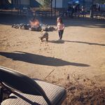 Crystal Beckwith - @707crystal707 - Instagram