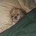 Crystal Belisle - Facebook