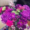 crystalberner - @crystalberner - TikTok