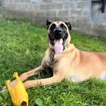 Crystal Bernier Holmes - @crissy.holmes - Instagram