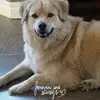 Crystal Bertsch - @crystalbertsch - TikTok