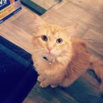 Meagan - @crystalbiddles - Instagram
