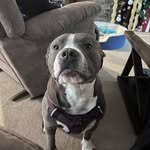 Crystal Bier - @biercrystal - Instagram