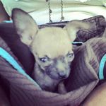 Crystal Biggs - @cris.b1310 - Instagram