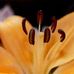 Crystal Bills Photography - Facebook
