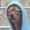 Crystalbills - @crystalbills08 - TikTok