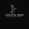 Crystal Bird - @crystal.bird3 - TikTok