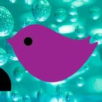 Crystal Bird Creations - @crystalbirdcreations - Instagram