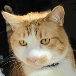 Crystal Bittner - @cbit3304 - Instagram