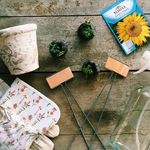 Crystal A Blackledge - @belle_plantes - Instagram