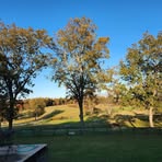 Crystal Bland - Facebook