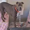 Crystal Blanton - @crystal.blanton20 - TikTok