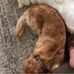 Crystal Blanton - Facebook