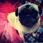 Crystal Blaylock Sanchez - @fishn4acure - Instagram