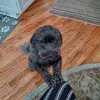 crystal blizzard - @crystal.blizzard6 - TikTok