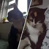 𝒋𝒂𝒎𝒆𝒔 - @crystalblizzardd - TikTok