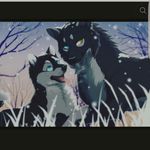 Crystal_Blood_pack - @crystal_blood_pack - Instagram