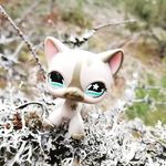 💎𝓒𝓻𝔂𝓼𝓽𝓪𝓵𝓫𝓵𝓸𝓸𝓭💎 - @lps_crystalblood - Instagram