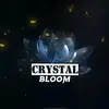 𝐜𝐫𝐲𝐬𝐭𝐚𝐥 𝐛𝐥𝐨𝐨𝐦 - @crystal_bloom_ - TikTok
