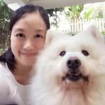 Crystal Wang - @crystalbobosachi - Instagram