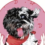 Crystal + Bone - @crystal_and_bone - Instagram