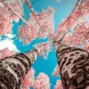crystalbriscoe87 - @crystalb918 - TikTok