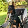 crystal.browning2606 - @crystal.browning2606 - TikTok