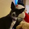 crystalbrundage - @crystalbrundage - TikTok
