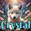 Crystal Buckner08👑🩵🧸 - @crystal.buckner08 - TikTok