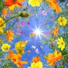 Crystal Hineman Burgett - @crystalhinemanbur - TikTok