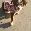 Crystal Castorena - @crystalcastorena - TikTok
