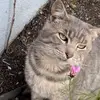 Crystal Cloud - @crystalclouddzz - TikTok