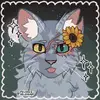 crystalcloud - @crystalcloud_thecat - TikTok