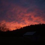 Crystal Coffman - @piperc74 - Instagram
