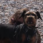 Sam Hibbitts - @crystalcoreyoga - Instagram