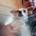 Crystal Cotton - Facebook