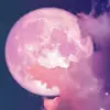 Crystal 💎 Court - @crystalcourtshop - TikTok