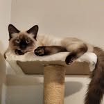 Crystal Crowley - @crystal.crowley.5 - Instagram