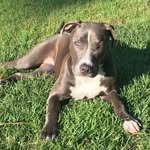 Crystal Crowley - @crysann7 - Instagram