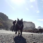 Crystal Dibble - @cdibbler - Instagram