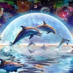 Cindy Harris - @the.crystal.dolphin - Instagram