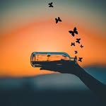 crystal - @_crystal__dolphin - Instagram