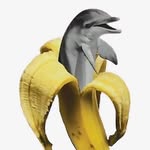 CRYSTAL DOLPHIN - @crystal.dollphin - Instagram
