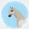 🐬💎Crystal dolphin💎🐬 - @crystal.dolphins.family - TikTok