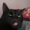 crystaldolphin20 - @crystaldolphin20 - TikTok