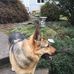 Crystal Dunlap - Facebook